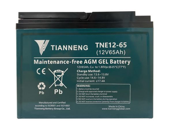 Vorteilspaket 6 x TNE 12-65 Batteriepaket
