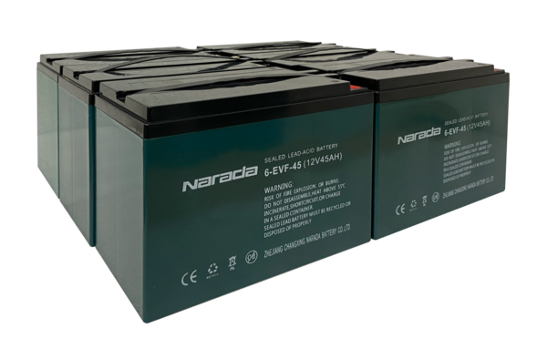 Vorteilspack 6 x Narada 6EVF45 Batteriepacket